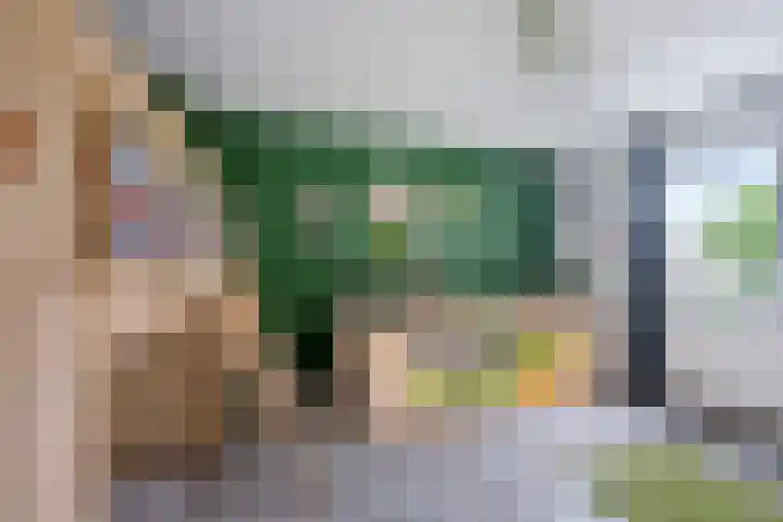 De Kubbing 30 Borger thumbnail 5