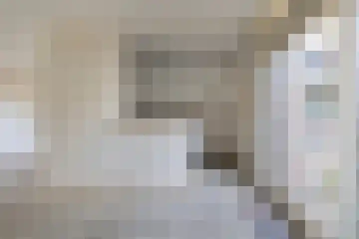 De Kubbing 6 Borger thumbnail 11