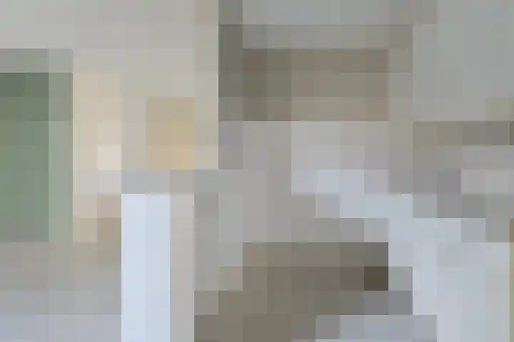 De Kubbing 6 Borger thumbnail 13