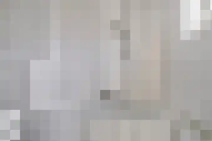 De Kubbing 6 Borger thumbnail 22