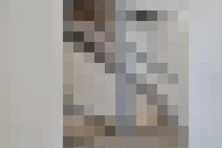 De Kubbing 6 Borger thumbnail 28