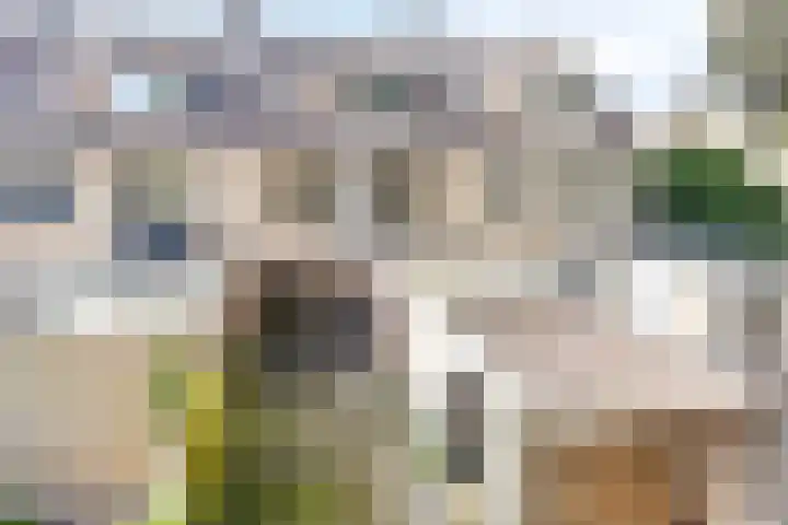 De Kubbing 6 Borger thumbnail 37