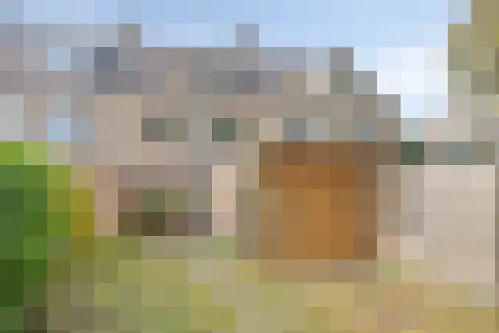 De Kubbing 6 Borger thumbnail 38