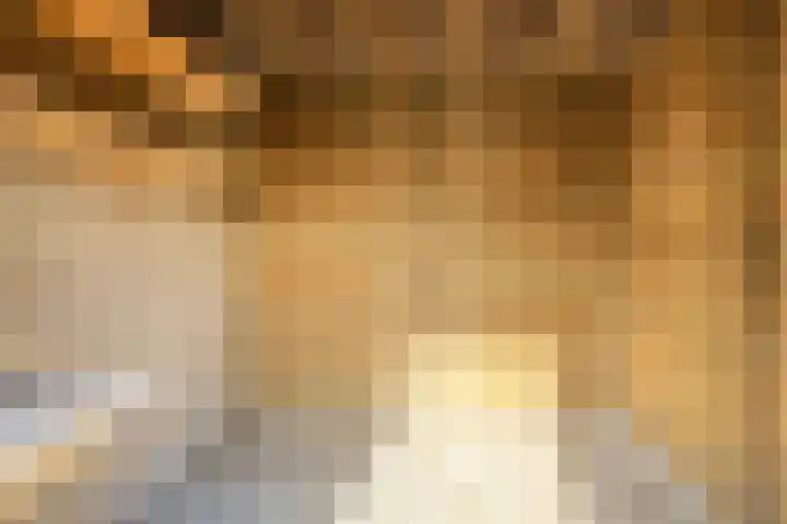 De Kubbing 6 Borger thumbnail 39