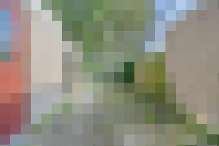 De Kubbing 6 Borger thumbnail 41