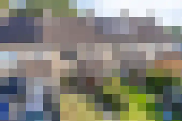 De Kubbing 6 Borger thumbnail 43