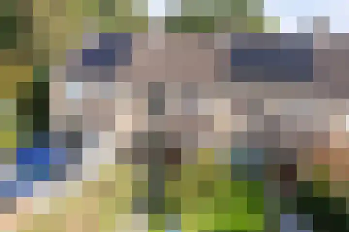 De Kubbing 6 Borger thumbnail 44