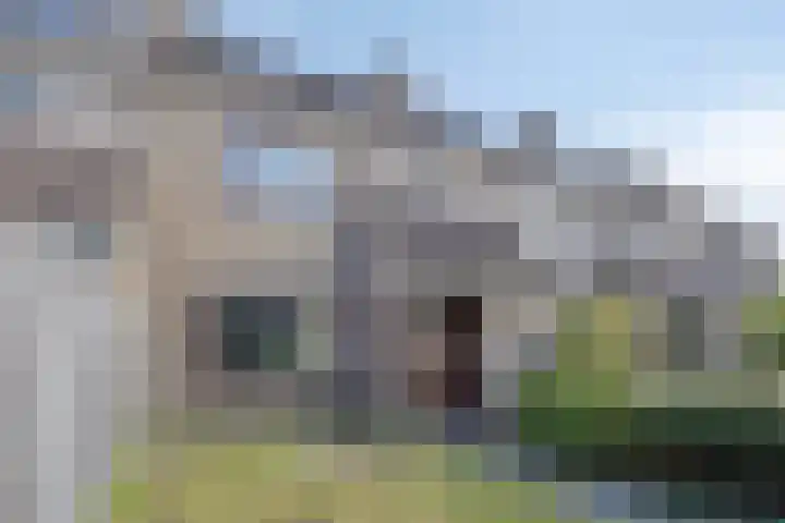 De Kubbing 6 Borger thumbnail 45
