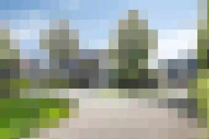 De Kubbing 6 Borger thumbnail 47