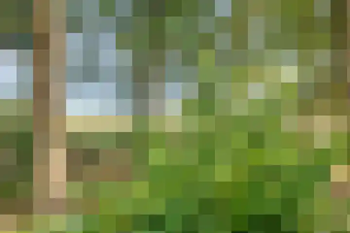 De Kubbing 6 Borger thumbnail 50