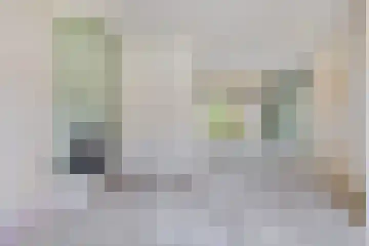 De Kubbing 6 Borger thumbnail 7