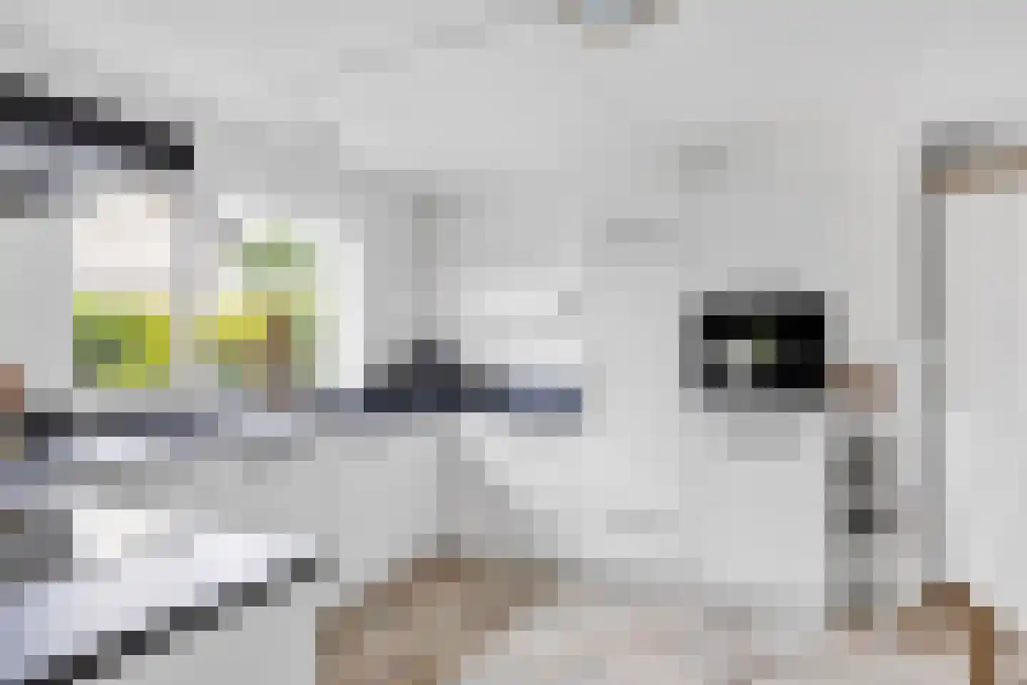 De Kuijl 2 Makkum thumbnail 16
