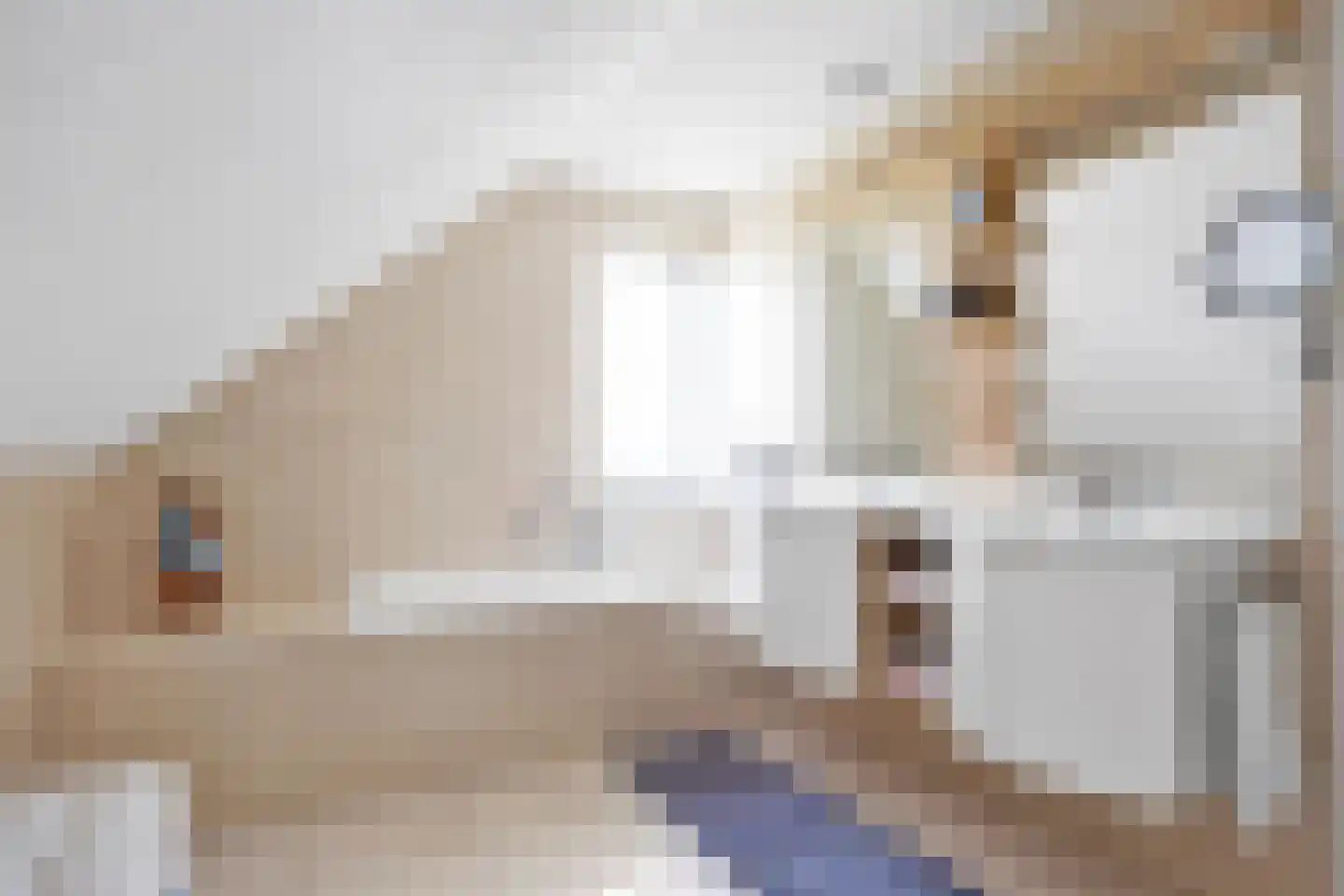 De Kuijl 2 Makkum thumbnail 22