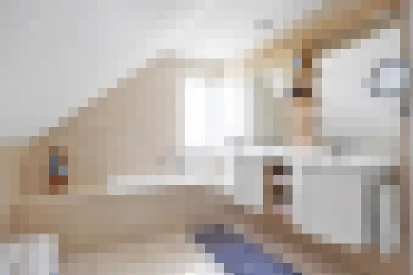 De Kuijl 2 Makkum thumbnail 22