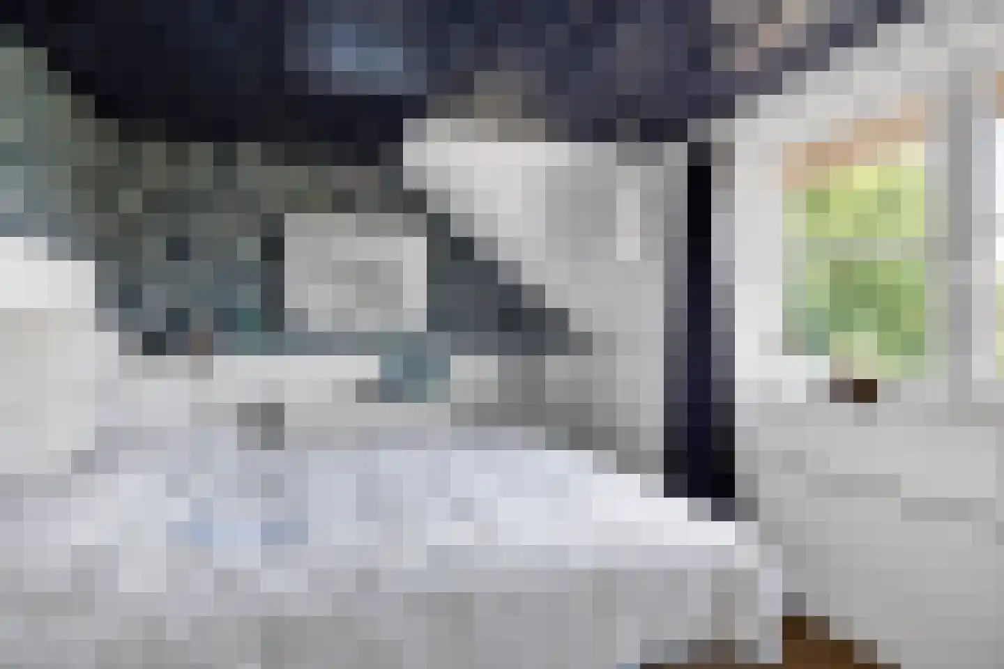 De Kuijl 2 Makkum thumbnail 26
