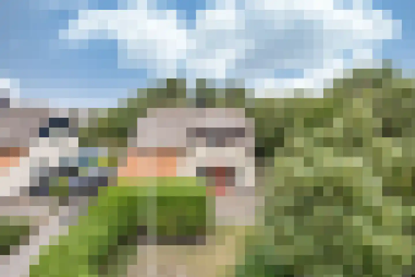 De Kuijl 2 Makkum thumbnail 33