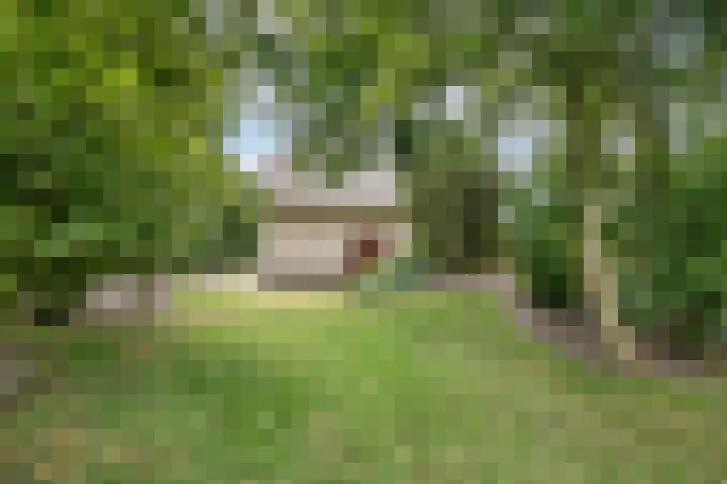 De Kuijl 2 Makkum thumbnail 39