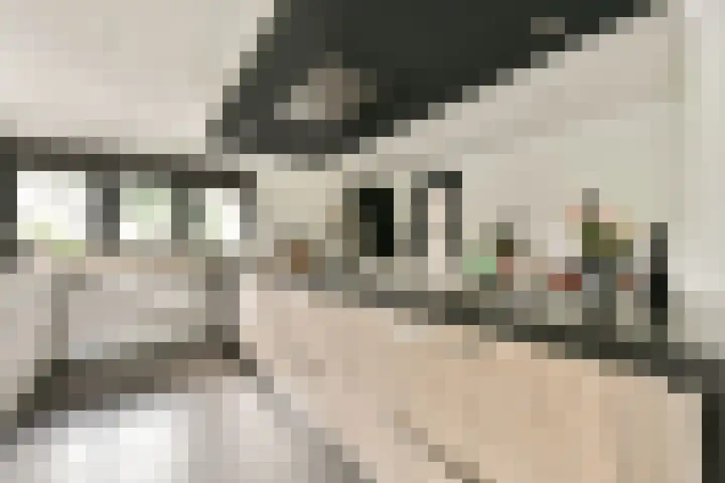 De Kuil 1 a Laren thumbnail 10