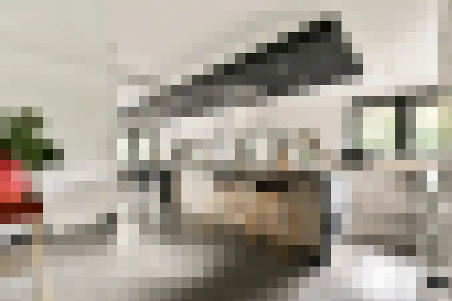 De Kuil 1 a Laren thumbnail 13