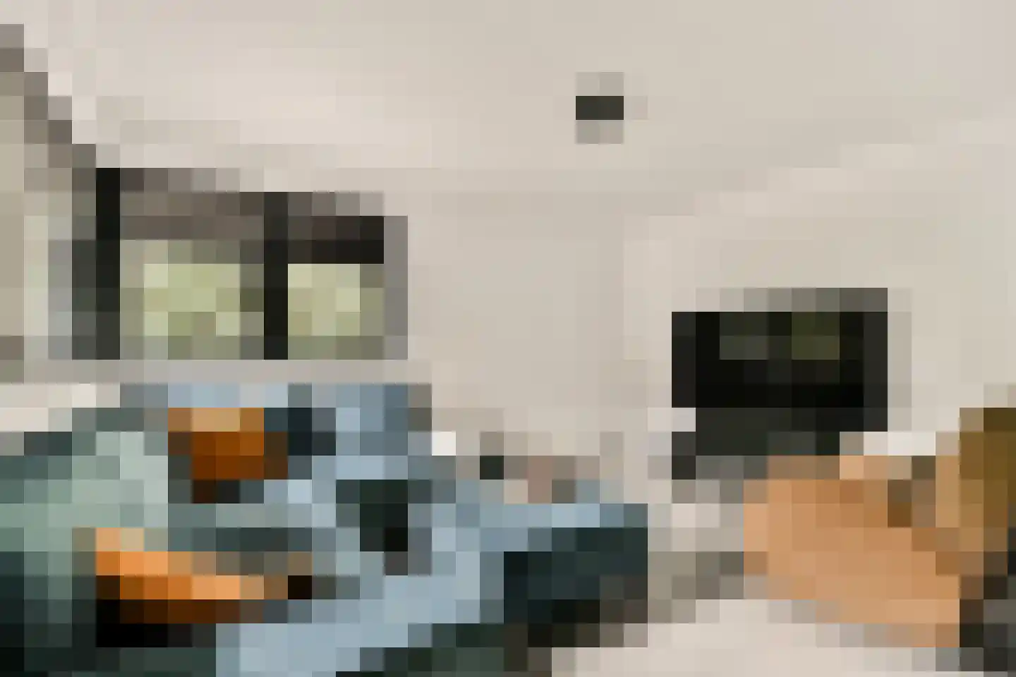 De Kuil 1 a Laren thumbnail 14
