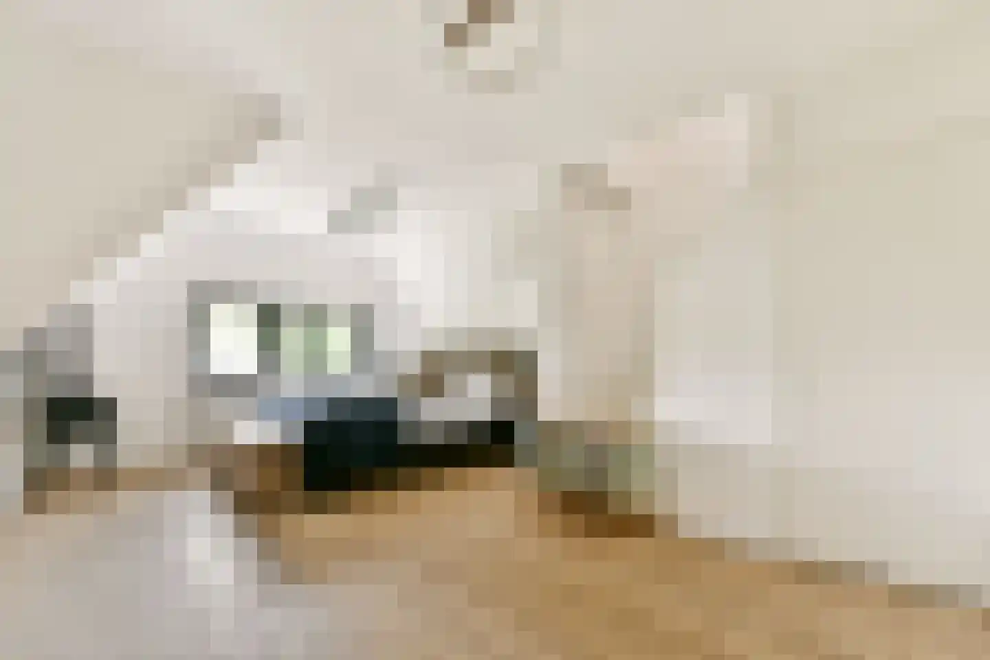 De Kuil 1 a Laren thumbnail 20