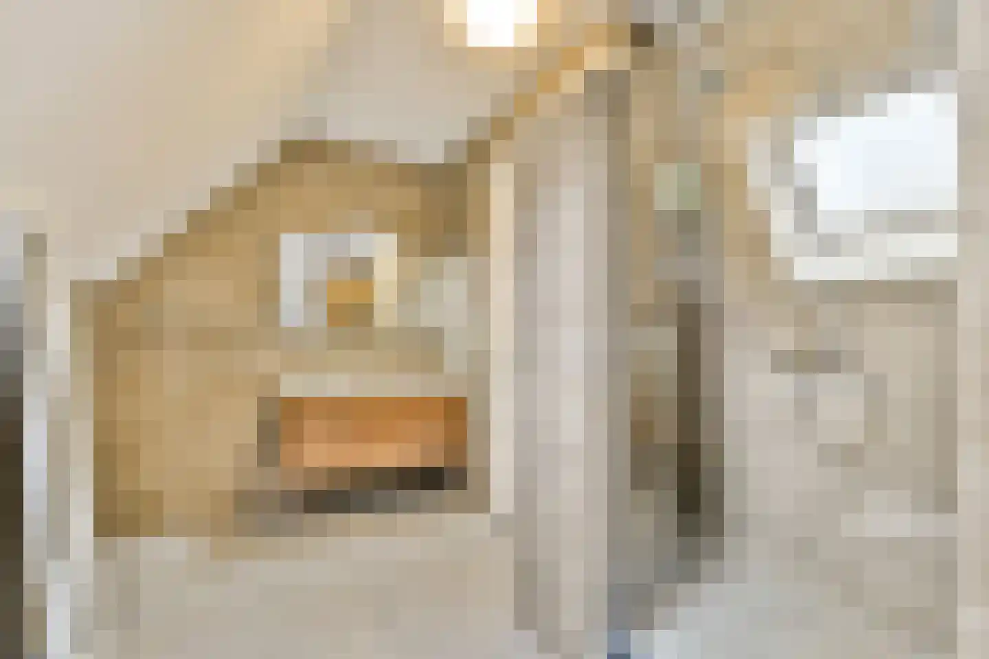 De Kuil 1 a Laren thumbnail 30