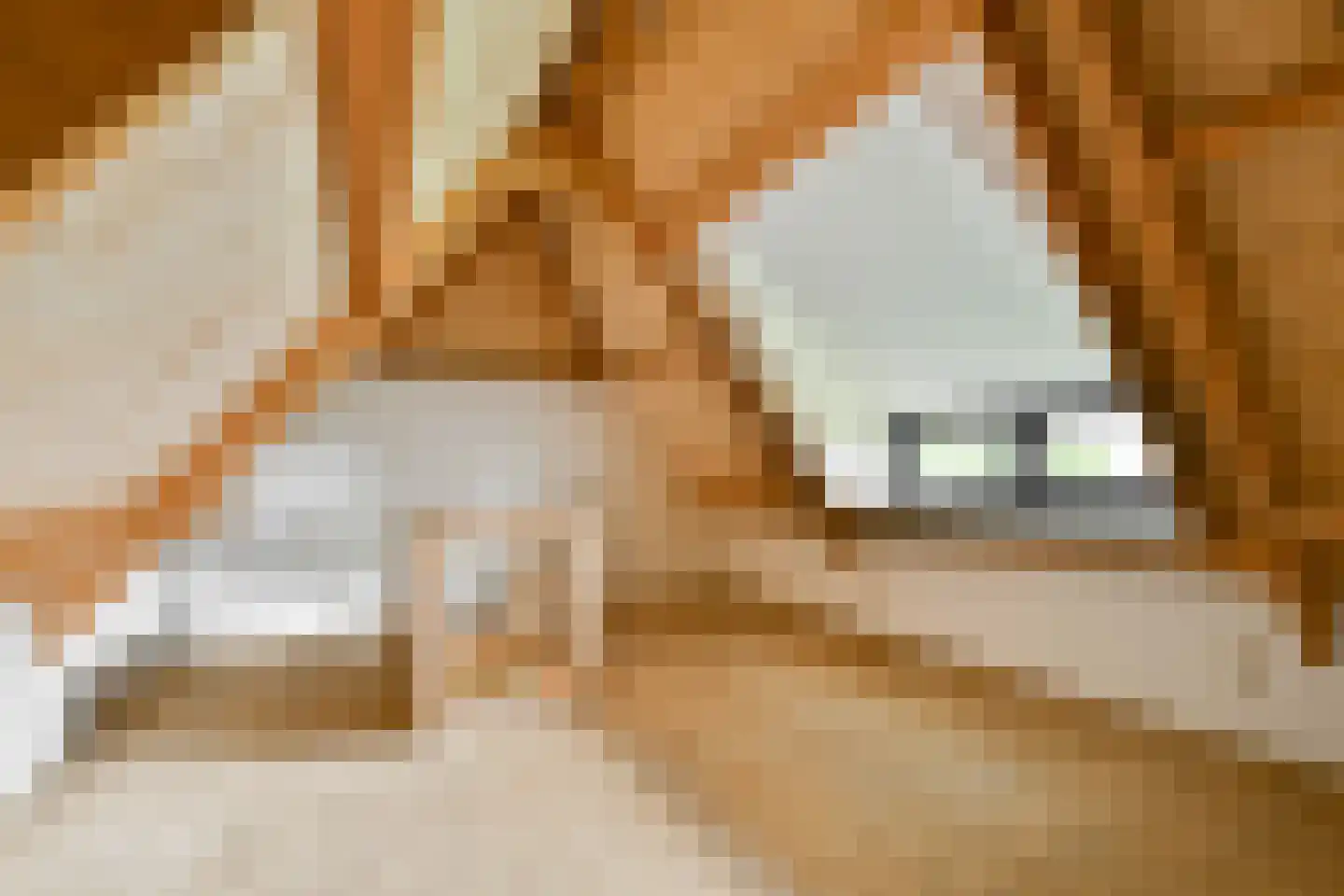 De Kuil 1 a Laren thumbnail 36
