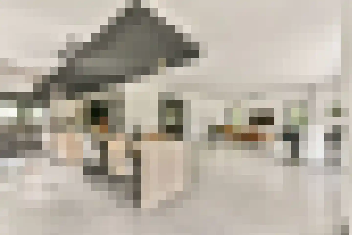 De Kuil 1 a Laren thumbnail 4