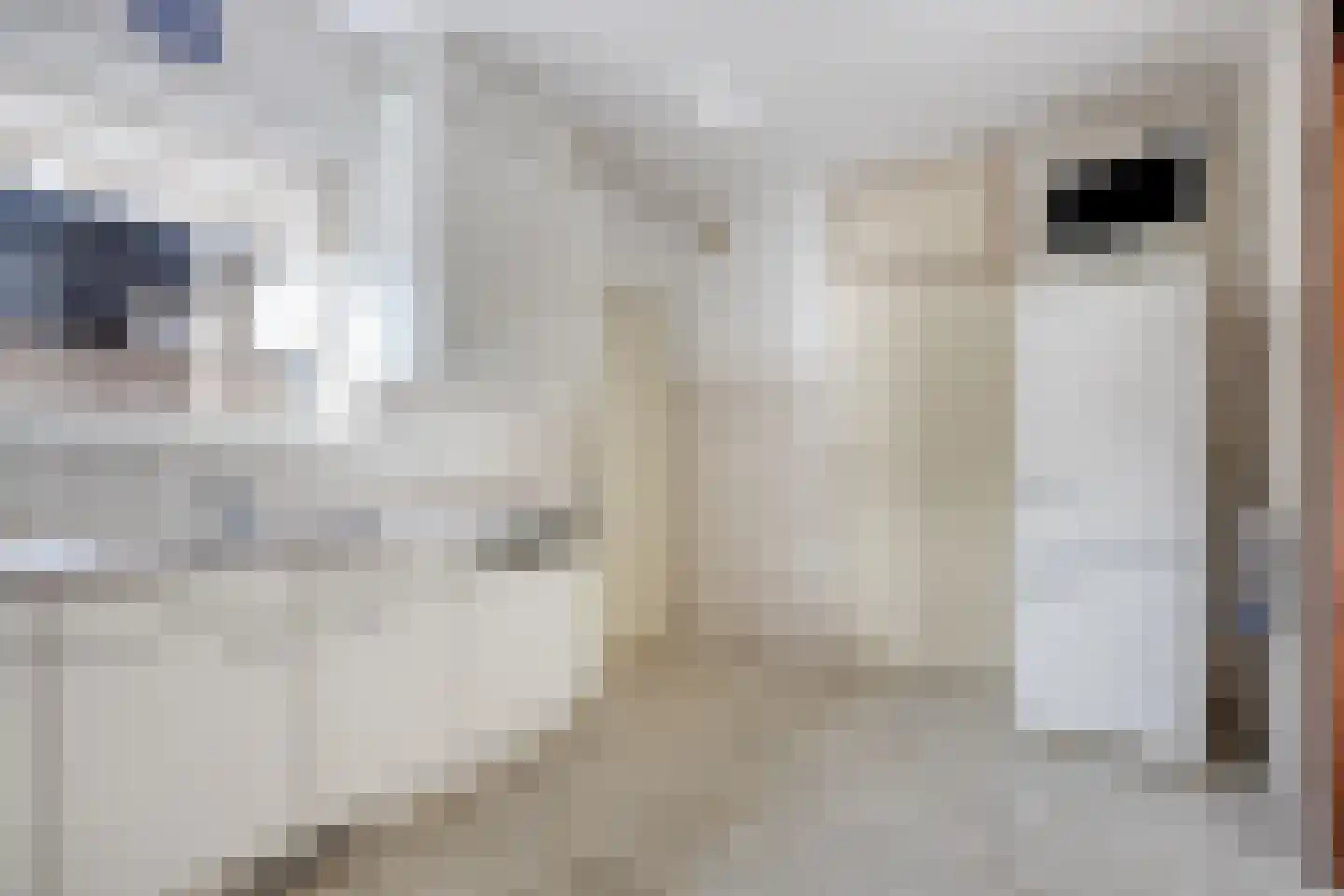 De Kuil 19 Uitgeest thumbnail 13