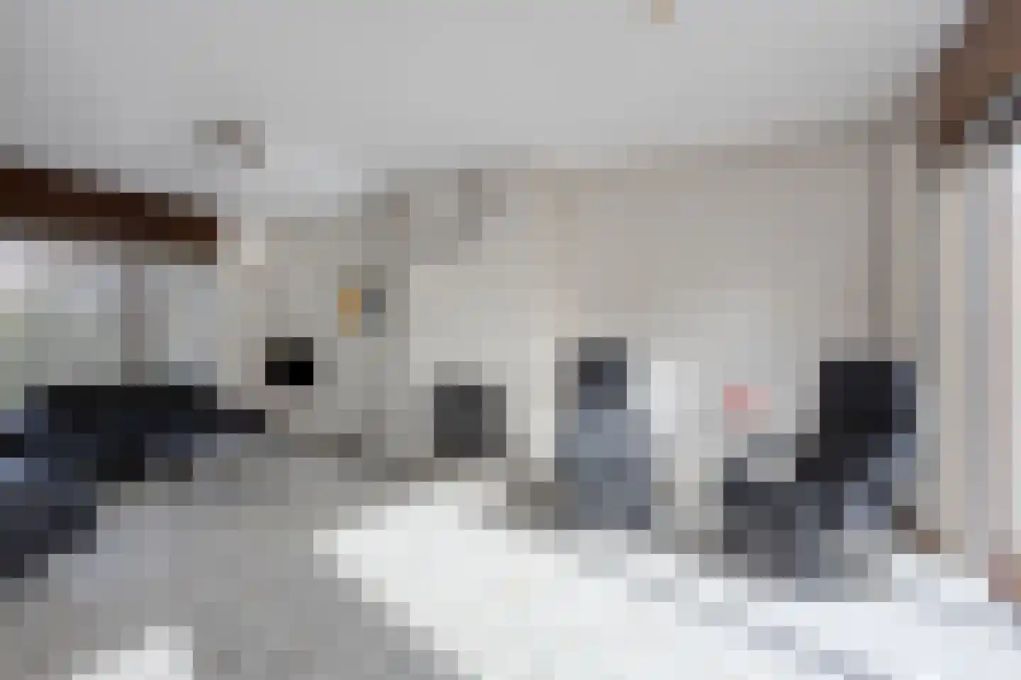De Kuil 19 Uitgeest thumbnail 7