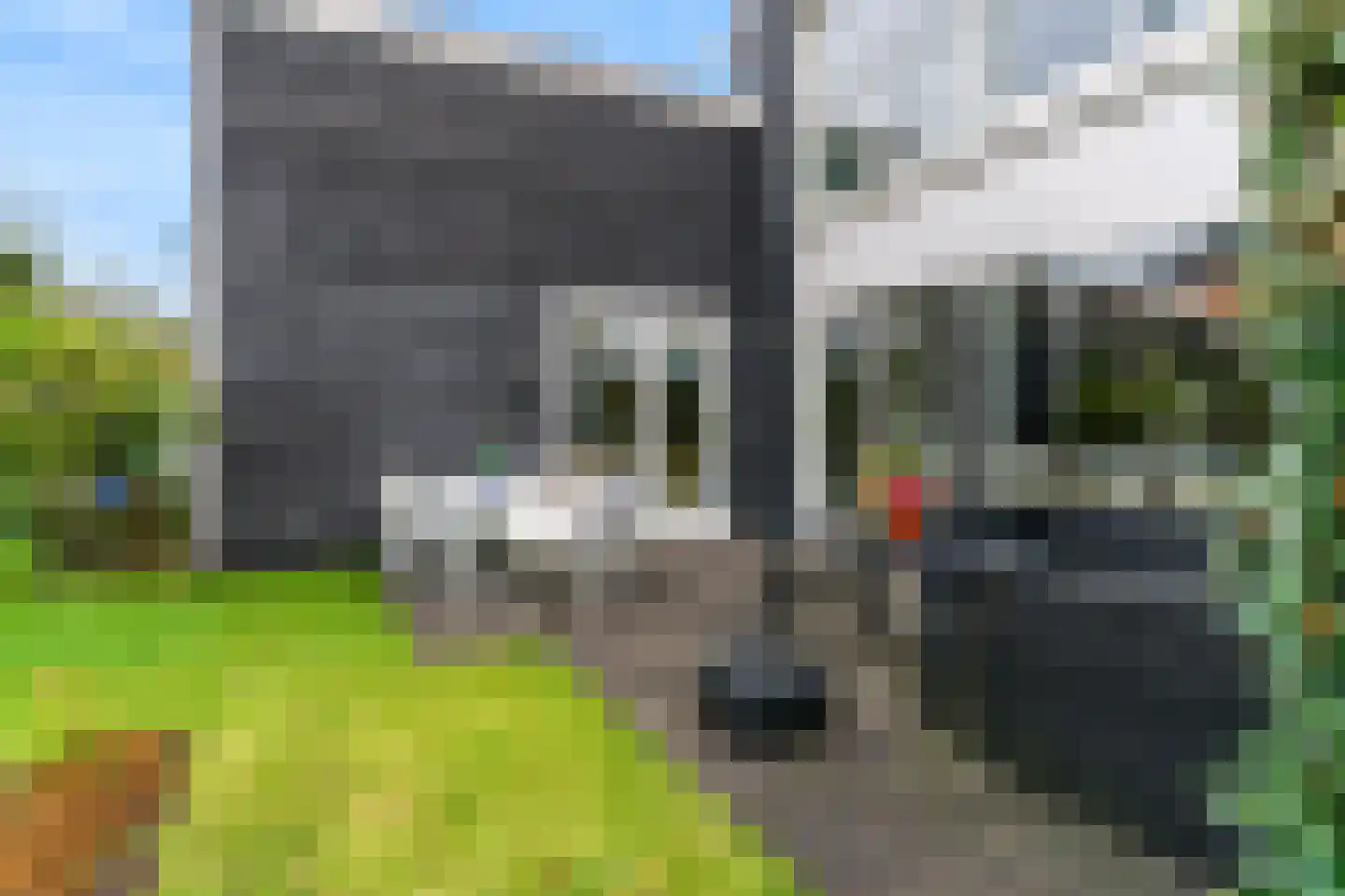 De Kuil 27 Uitgeest thumbnail 33