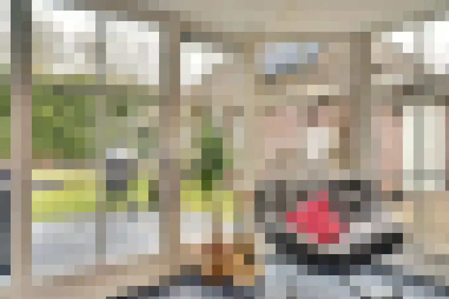 De Kuil 28 A Hapert thumbnail 18