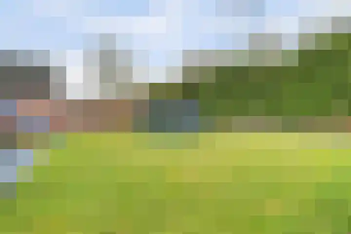 De Kuil 28 A Hapert thumbnail 47
