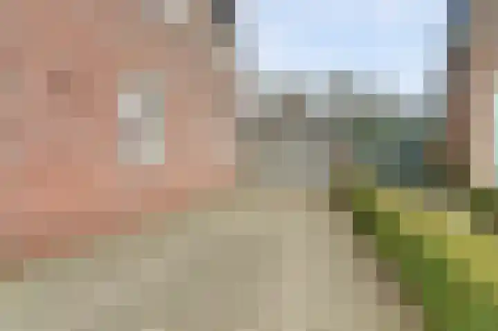 De Kuil 28 A Hapert thumbnail 59