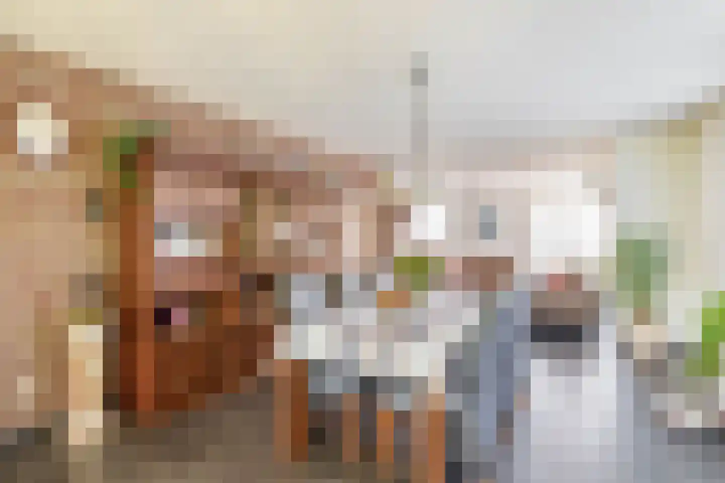 De Kuil 28 Hapert thumbnail 13