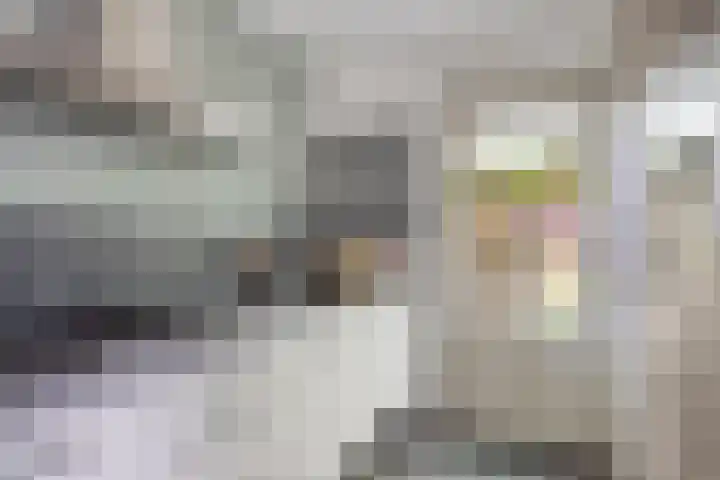 De Kuil 36 Hapert thumbnail 15