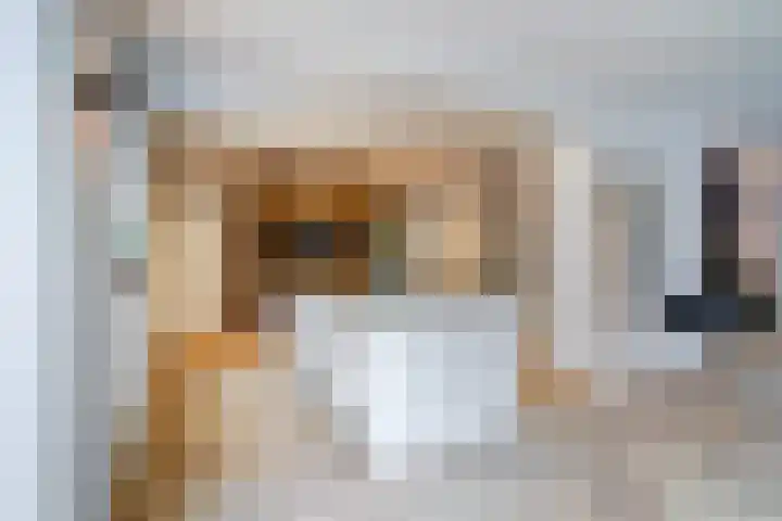 De Kuil 36 Hapert thumbnail 25