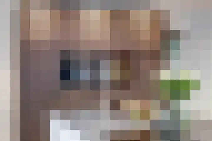 De Kuil 36 Hapert thumbnail 29