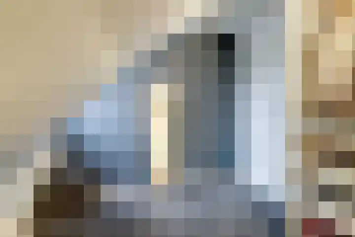 De Kuil 36 Hapert thumbnail 37