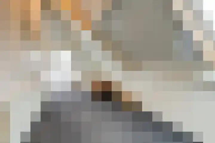 De Kuil 36 Hapert thumbnail 44