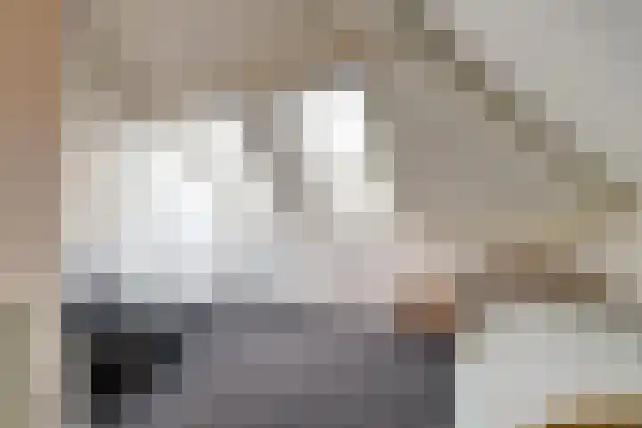 De Kuil 36 Hapert thumbnail 45