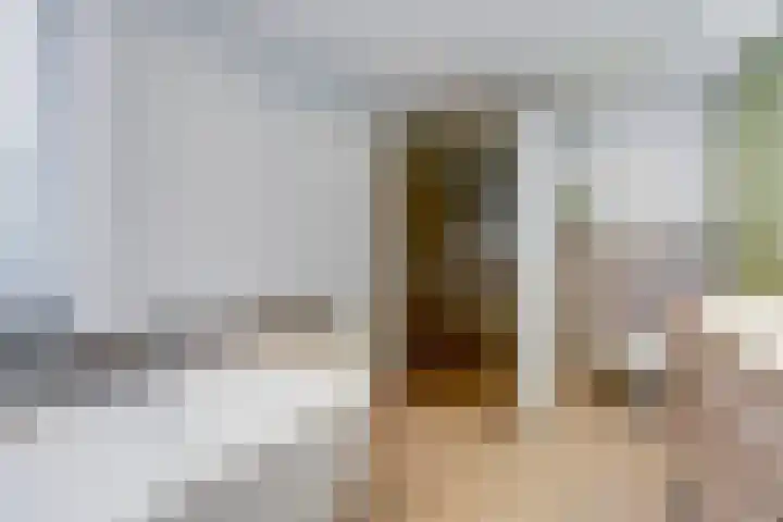 De Kuil 36 Hapert thumbnail 47