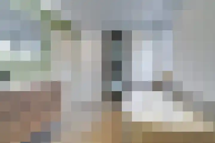 De Kuil 36 Hapert thumbnail 48