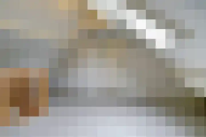 De Kuil 36 Hapert thumbnail 53