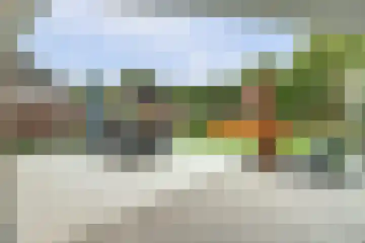 De Kuil 36 Hapert thumbnail 56