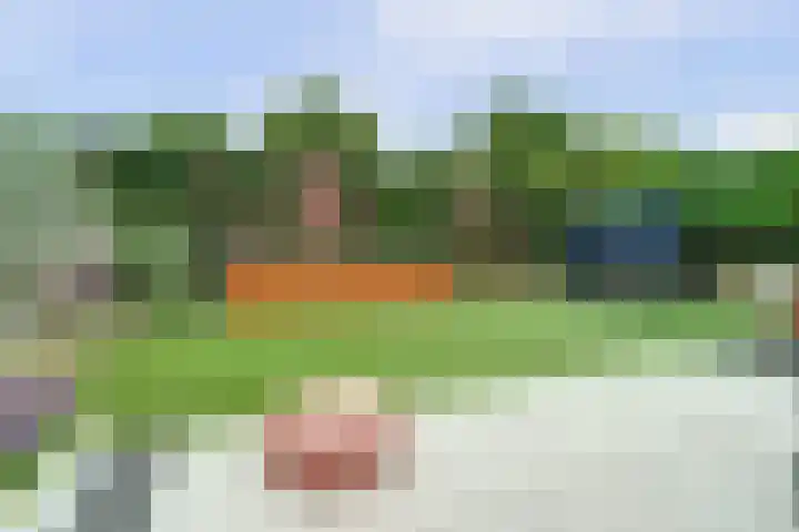 De Kuil 36 Hapert thumbnail 58