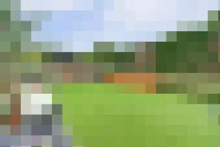 De Kuil 36 Hapert thumbnail 59