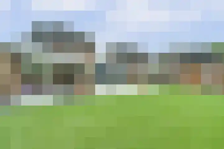 De Kuil 36 Hapert thumbnail 60