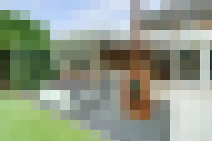 De Kuil 36 Hapert thumbnail 62
