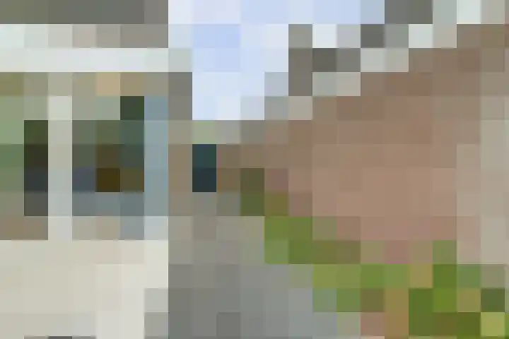 De Kuil 36 Hapert thumbnail 63